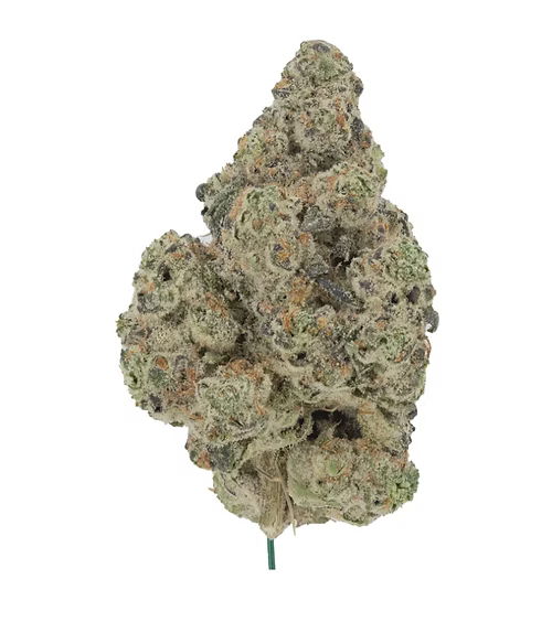 1oz Jungle Mintz Deal - Exotic Indoor THCA Cannabis Flower – THCa