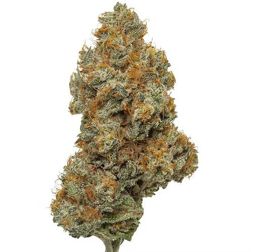 🍋 Gelonade Strain Review: Flavor, Effects, Genetics &amp; Why This Exotic THCA Flower Is So Popular