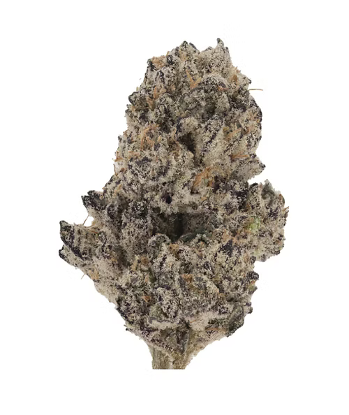 Gooberz Strain Review: Effects, Flavor, Genetics & Why It’s Becoming a Top Exotic THCA Flower in 2025