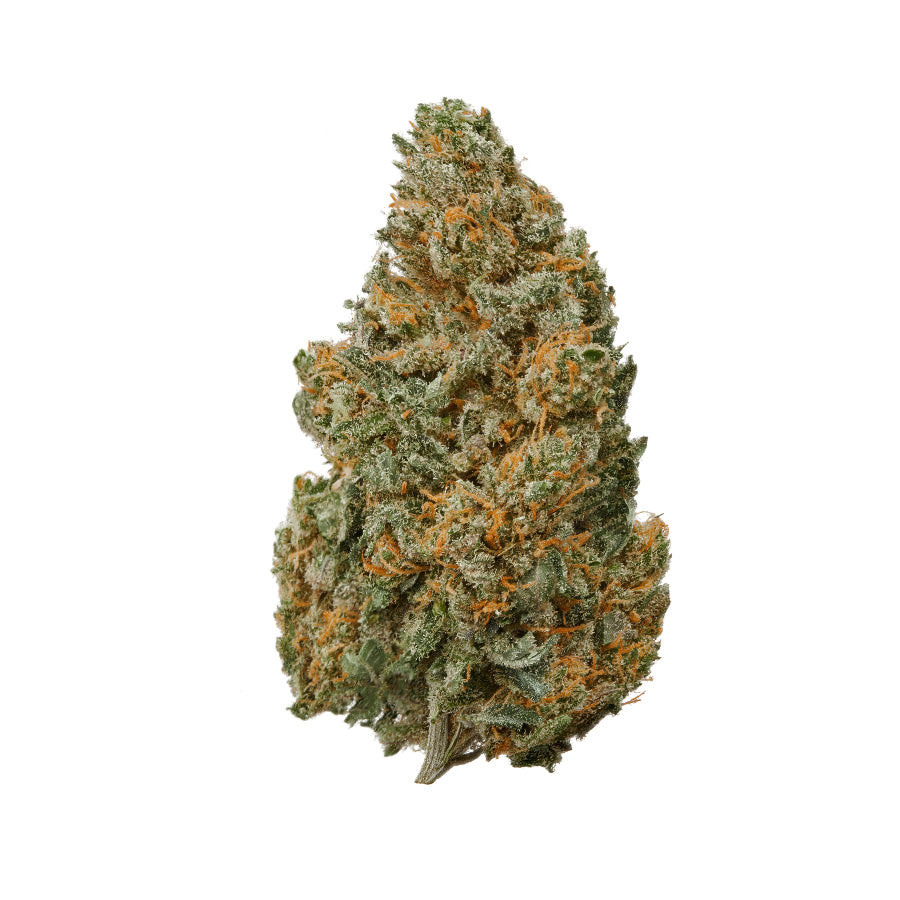 Motor Breath Cannabis strain review thca online dispensary
