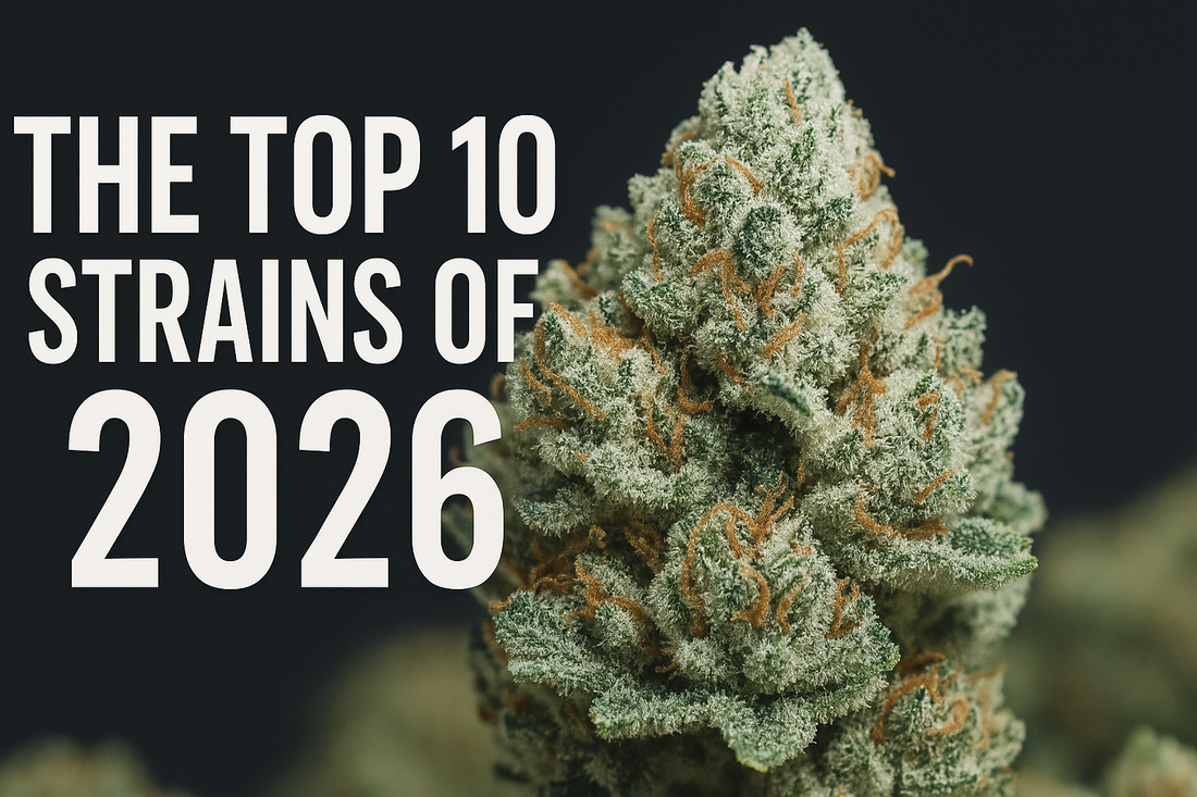 Top 10 Strains of 2026