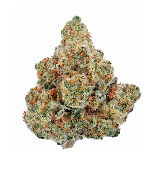 Truffle Butter Strain Review: Flavor, Effects, Terpenes &amp; Why This Exotic THCA Flower Is So Popular