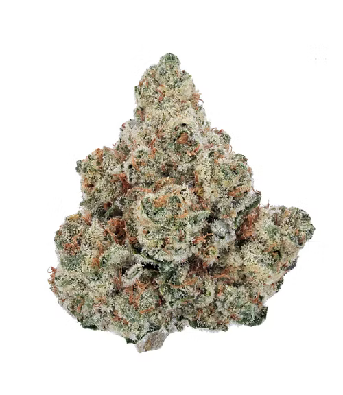 Zoolato  THCA Flower (Hybrid) Strain Review: Animal Instinct Meets Dessert Vibes 🦍🍨