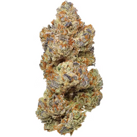 7G Biscotti Pancakes - Exotic Cannabis Flower