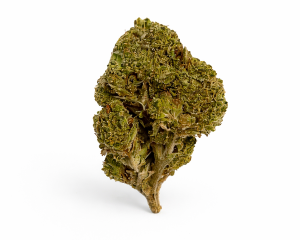 1 OZ Gelato 33  Premium - THCA Cannabis Flower