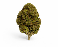 1 OZ Gelato 33  Premium - THCA Cannabis Flower