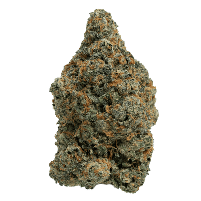1 OZ Gaslato - Exotic Indoor THCA Flower