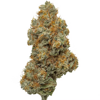 7G Gelenade - Exotic Cannabis Flower