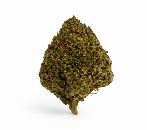 1 OZ Ice Cream Man - Premium THCA Cannabis Flower