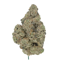 7G Jungle Mintz - Exotic Cannabis Flower