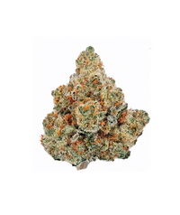 7G Truffle Butter - Exotic Indoor THCA Cannabis Flower