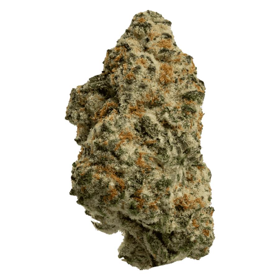 1 OZ Hawaiian Snow - Premium THCA Cannabis Flower