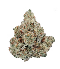 1oz Zoolato Deal- Exotic Indoor THCA Cannabis Flower