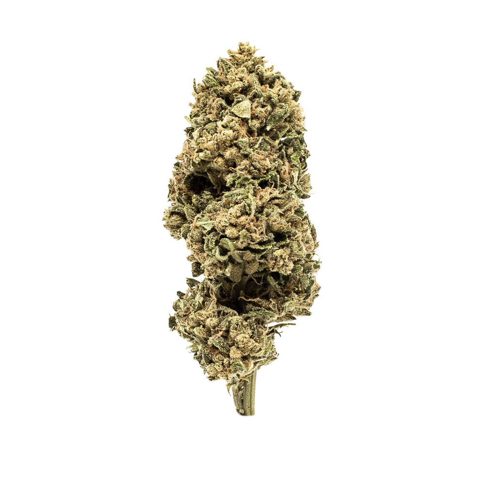 1oz X-3 - Exotic Indoor THCA Cannabis Flower